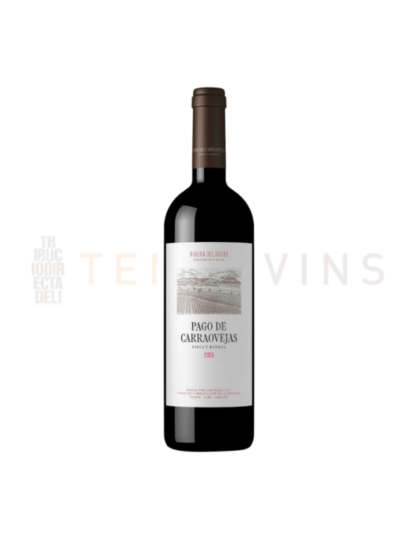 PAGO CARROVEJAS - Ribera Duero